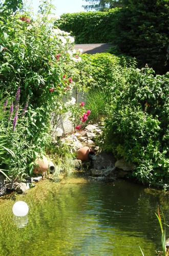 garten_teich4